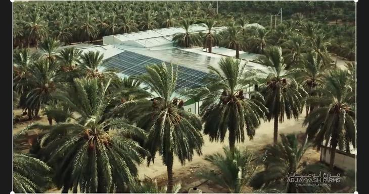 1699342886518171.png
