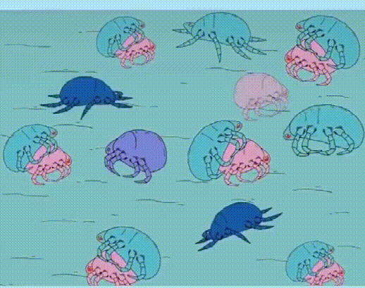 1781248186132654.gif