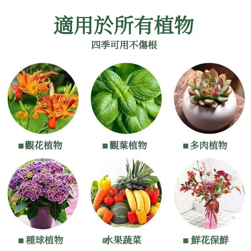 1781519619111151.webp